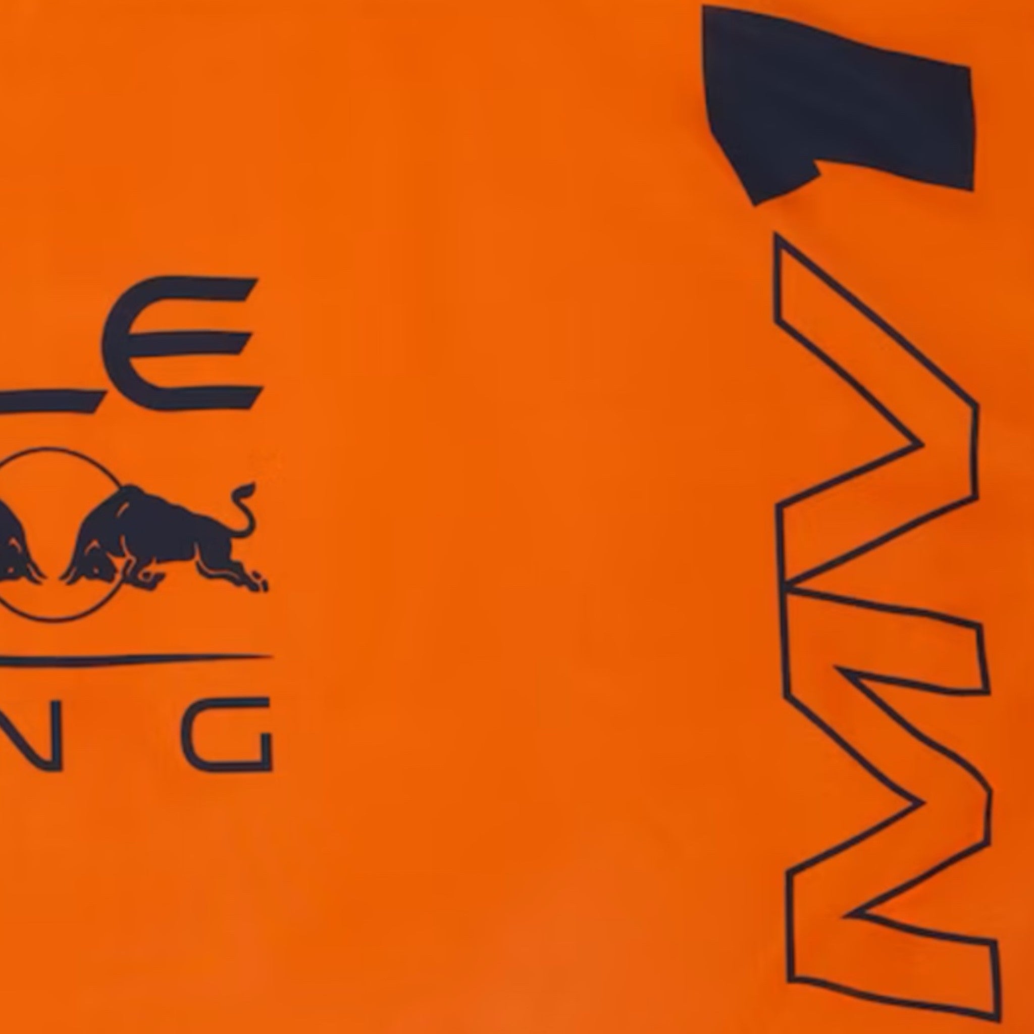 Oracle Red Bull Racing F1 Team Official Merchandise Max Verstappen World Champion Large Fan Flag - Pit-Lane Motorsport