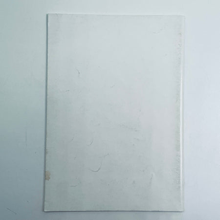 Official ACO Entry List Le Mans 24 Hour Race 2005 - Pit-Lane Motorsport