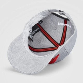 Official F1 Collection Large 3D Embroidered Cap-Grey