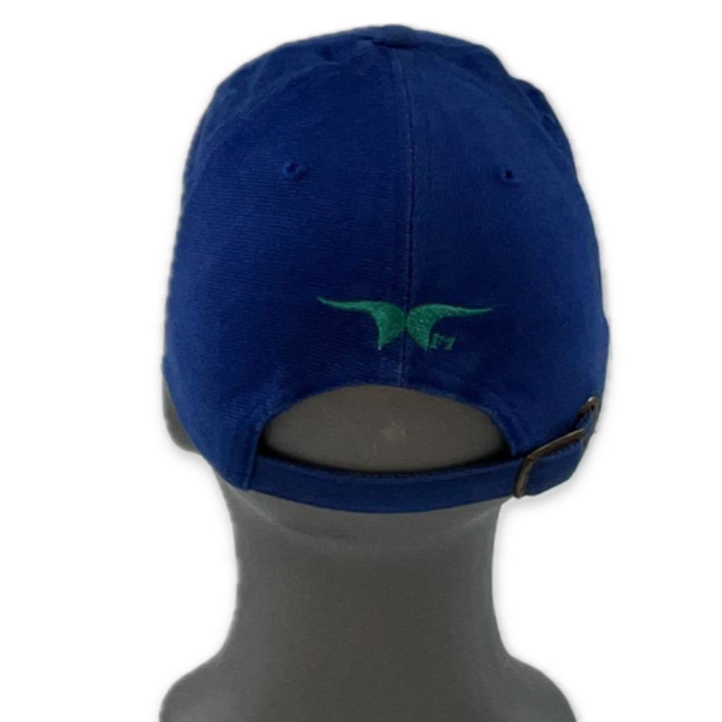 Pedro Diniz Red bull Sauber Petronas F1 Team Official Merchandise Driver Cap