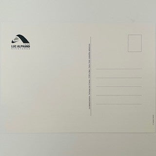 Team Luc Alphand Adventures Corvette Racing Official 2009 Le Mans Series ALMS Team A5 Driver Card